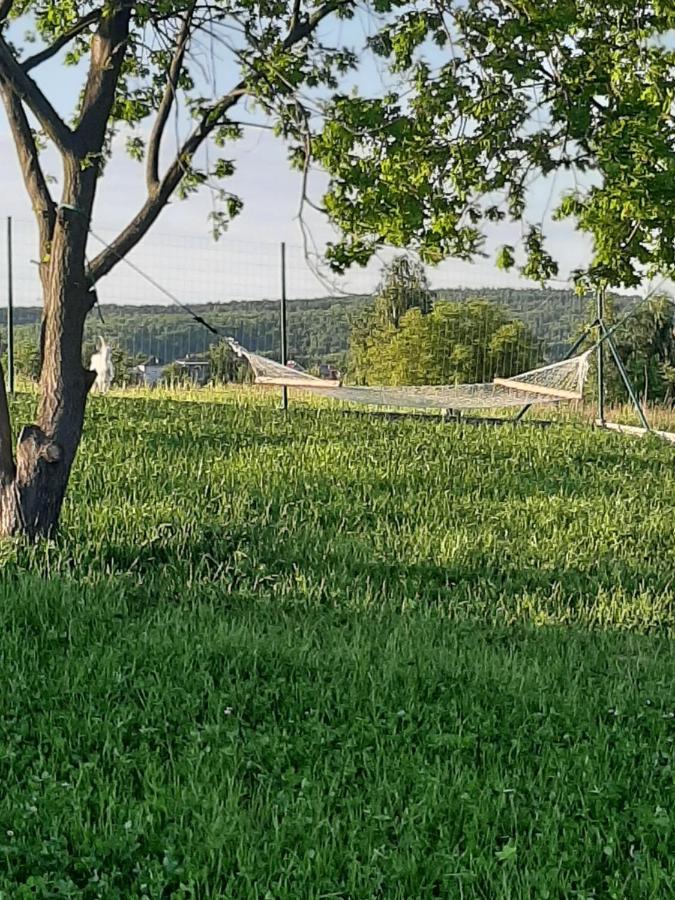 Zerkowice Gosp. Agroturystyczne Stary Gajヴィラ エクステリア 写真