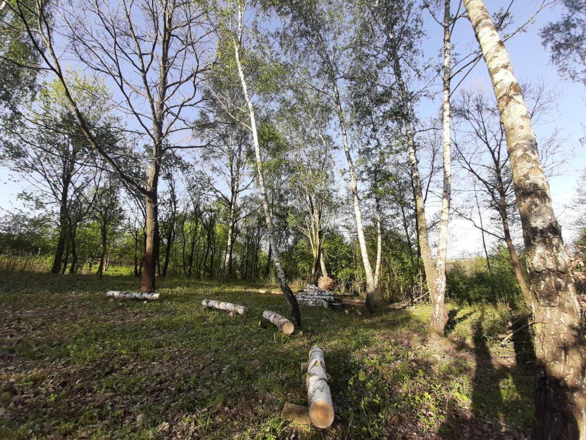 Zerkowice Gosp. Agroturystyczne Stary Gajヴィラ エクステリア 写真
