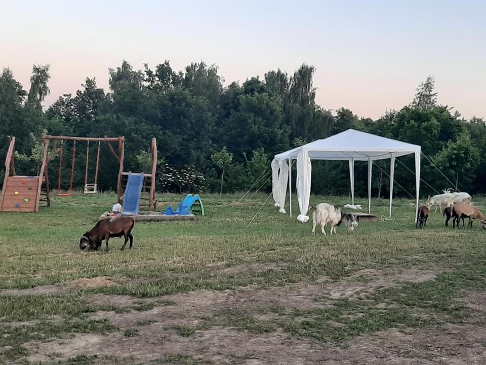 Zerkowice Gosp. Agroturystyczne Stary Gajヴィラ エクステリア 写真