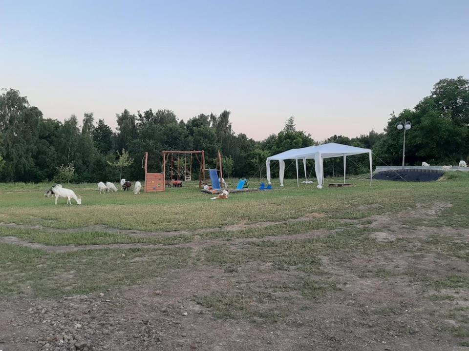 Zerkowice Gosp. Agroturystyczne Stary Gajヴィラ エクステリア 写真