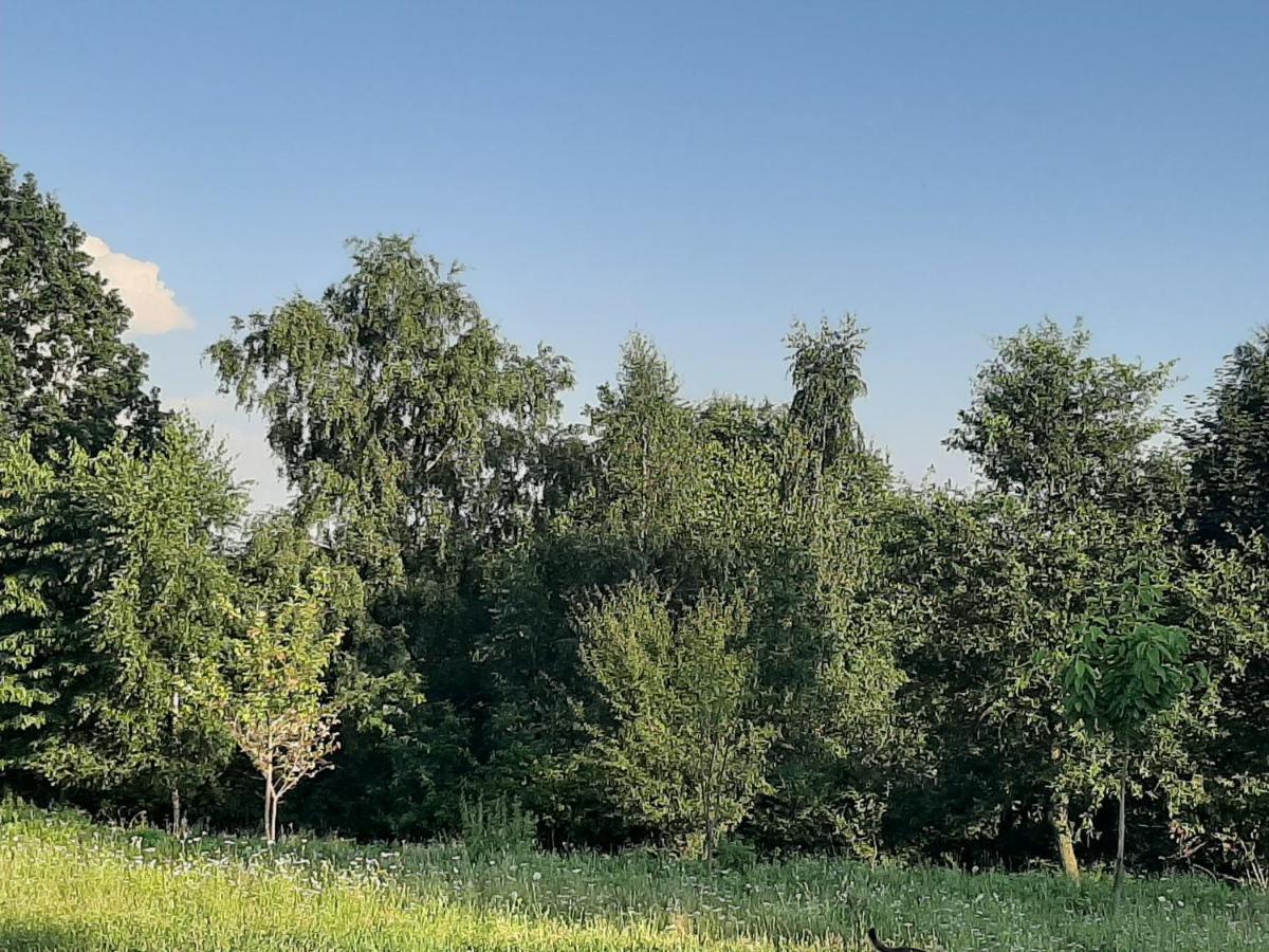 Zerkowice Gosp. Agroturystyczne Stary Gajヴィラ エクステリア 写真
