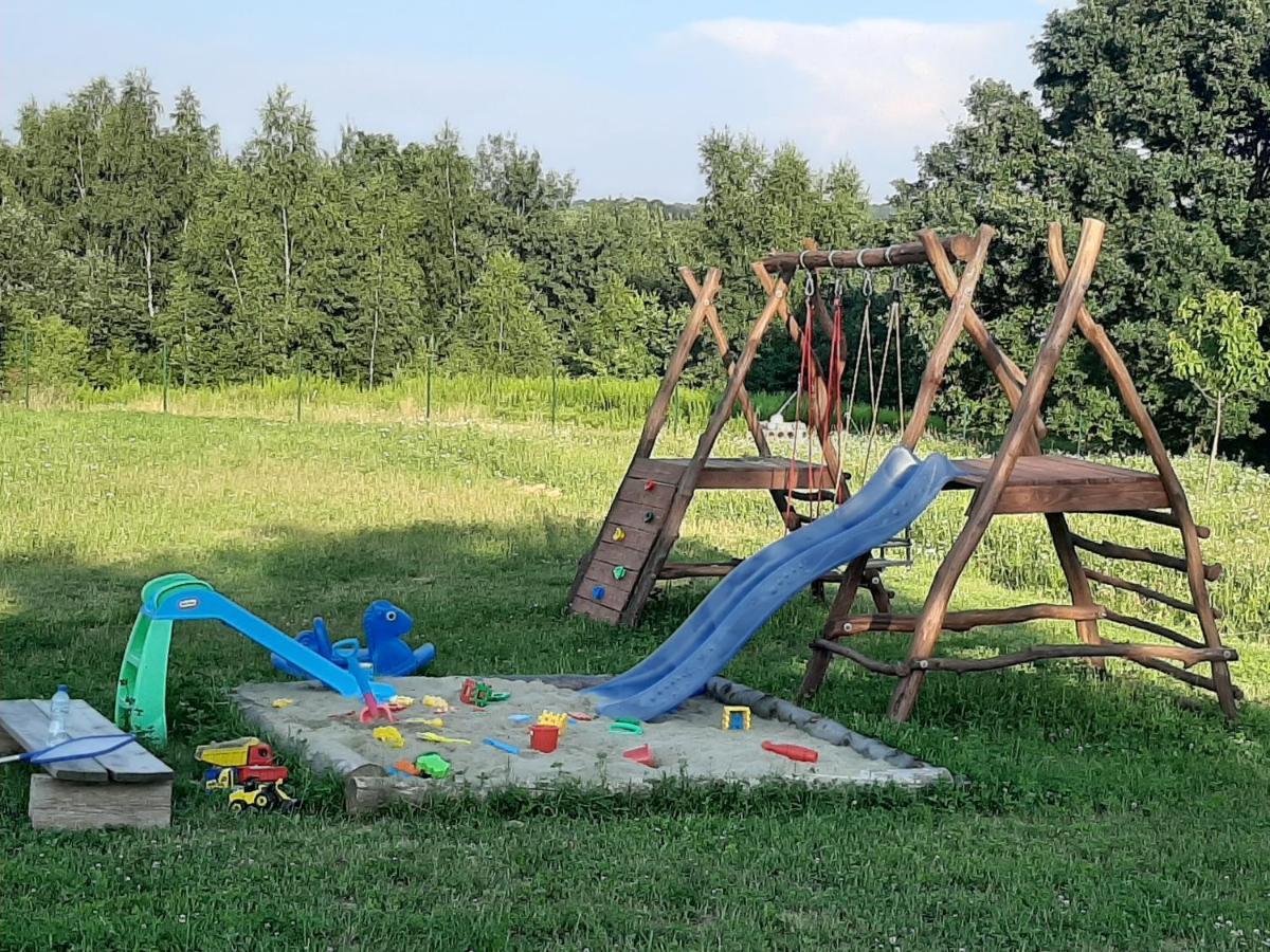 Zerkowice Gosp. Agroturystyczne Stary Gajヴィラ エクステリア 写真